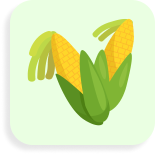 Tianyu Nature-Sourced PLA Cards