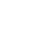 VESA Port (optional)